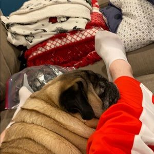 Meet your Posher, Vladislav